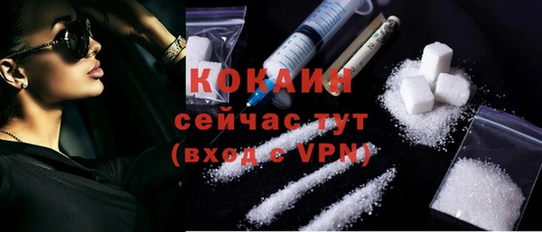 меф Пересвет
