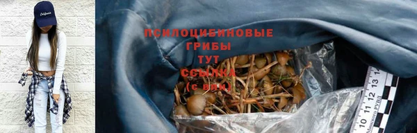 меф Пересвет