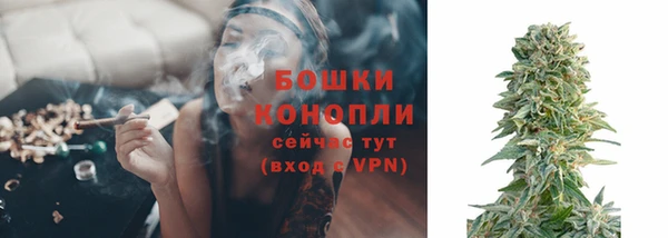 ПСИЛОЦИБИНОВЫЕ ГРИБЫ Пестово