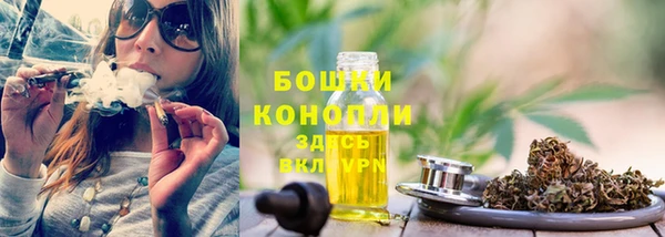меф Пересвет