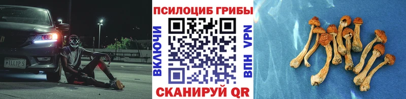 наркошоп  Братск  Галлюциногенные грибы Cubensis 