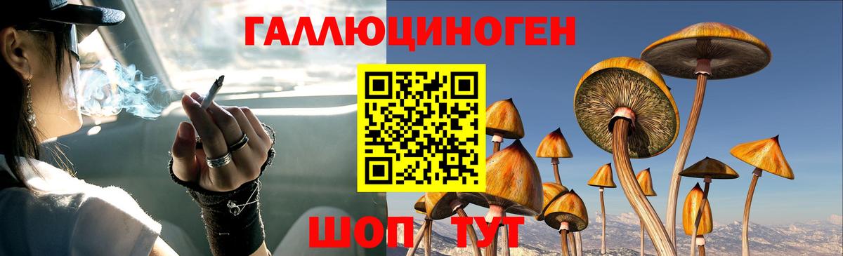 Братск  Псилоцибиновые грибы Psilocybine cubensis  Псилоцибиновые грибы ЛСД  Вход с VPN 